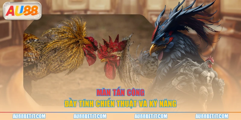 Màn tấn công đầy tính chiến thuật và kỹ năng